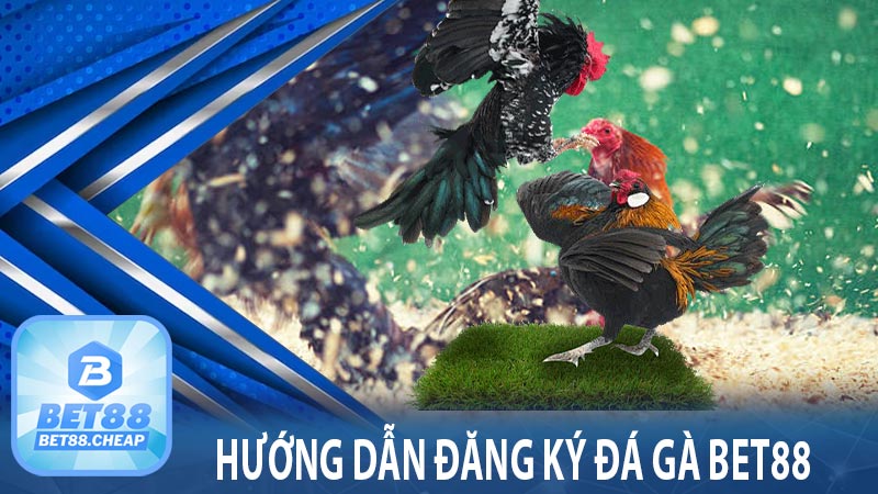 Hướng dẫn đăng ký đá gà Bet88